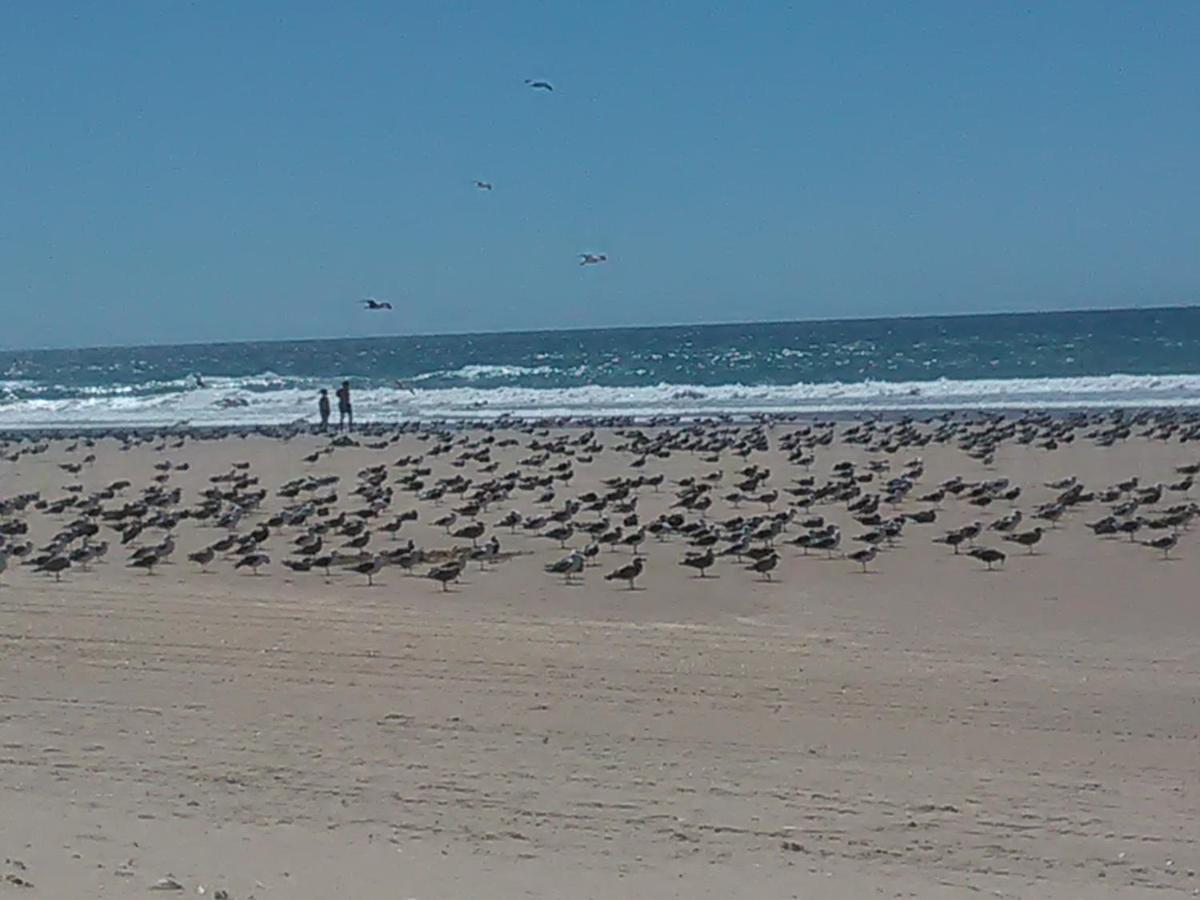 Caparica Holidays シャルネカ エクステリア 写真